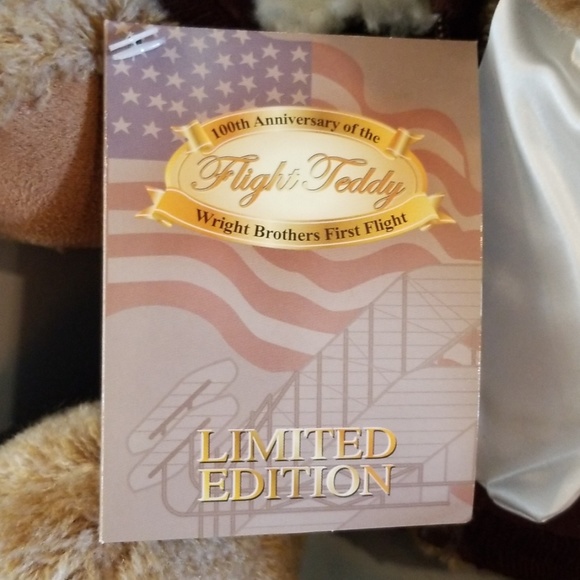 Flight Teddy Bear Collectable